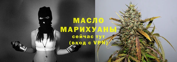 гашик Пестово
